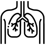 Body organs - Icon