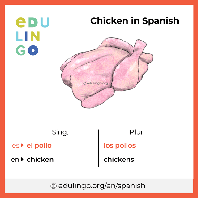 Chicken In Spanish Image 