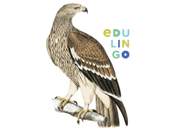 Águila en inglés • Escritura y pronunciación (con imágenes)