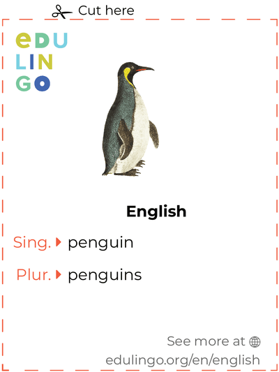pinguin - Wiktionary, the free dictionary