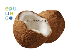 Thumbnail: Coconut in English