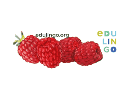 Thumbnail: Raspberry in English