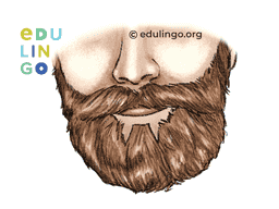 Thumbnail: Beard in Spanish