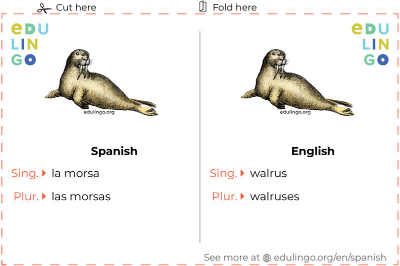 Maravillosas Morsas (Wonderful Walruses - Spanish Translation) - NWF