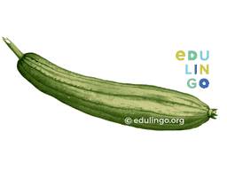 Thumbnail: Cucumber in German